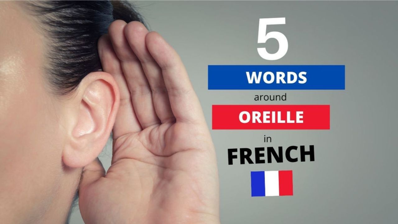 5 French Words Around The Word OREILLE