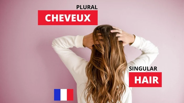 When Nouns Are Plural in French But Singular in English, And Vice Versa -  French Online Language Courses | The Perfect French with Dylane