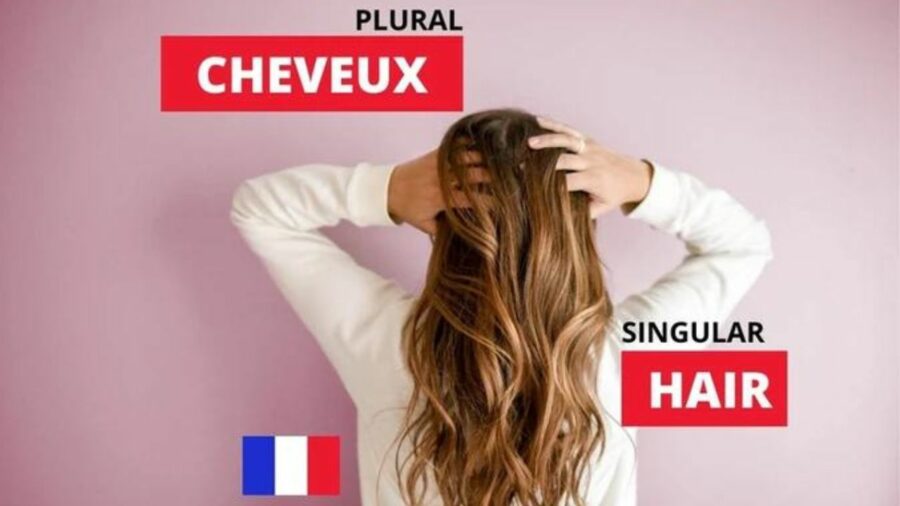 Plural in French But Singular in English