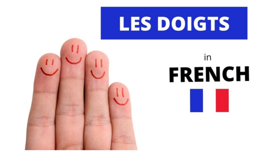 What Are The Fingers in French?