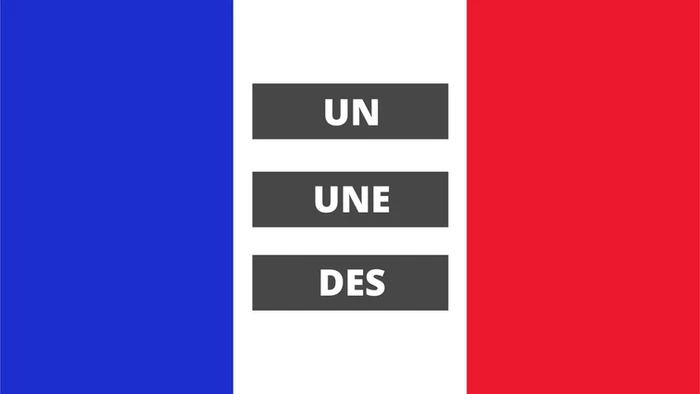 The French Indefinite articles: un une des