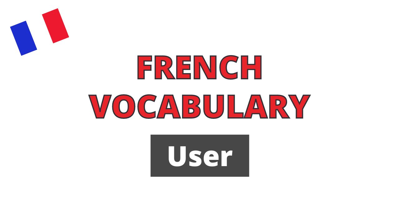 French vocabulary user