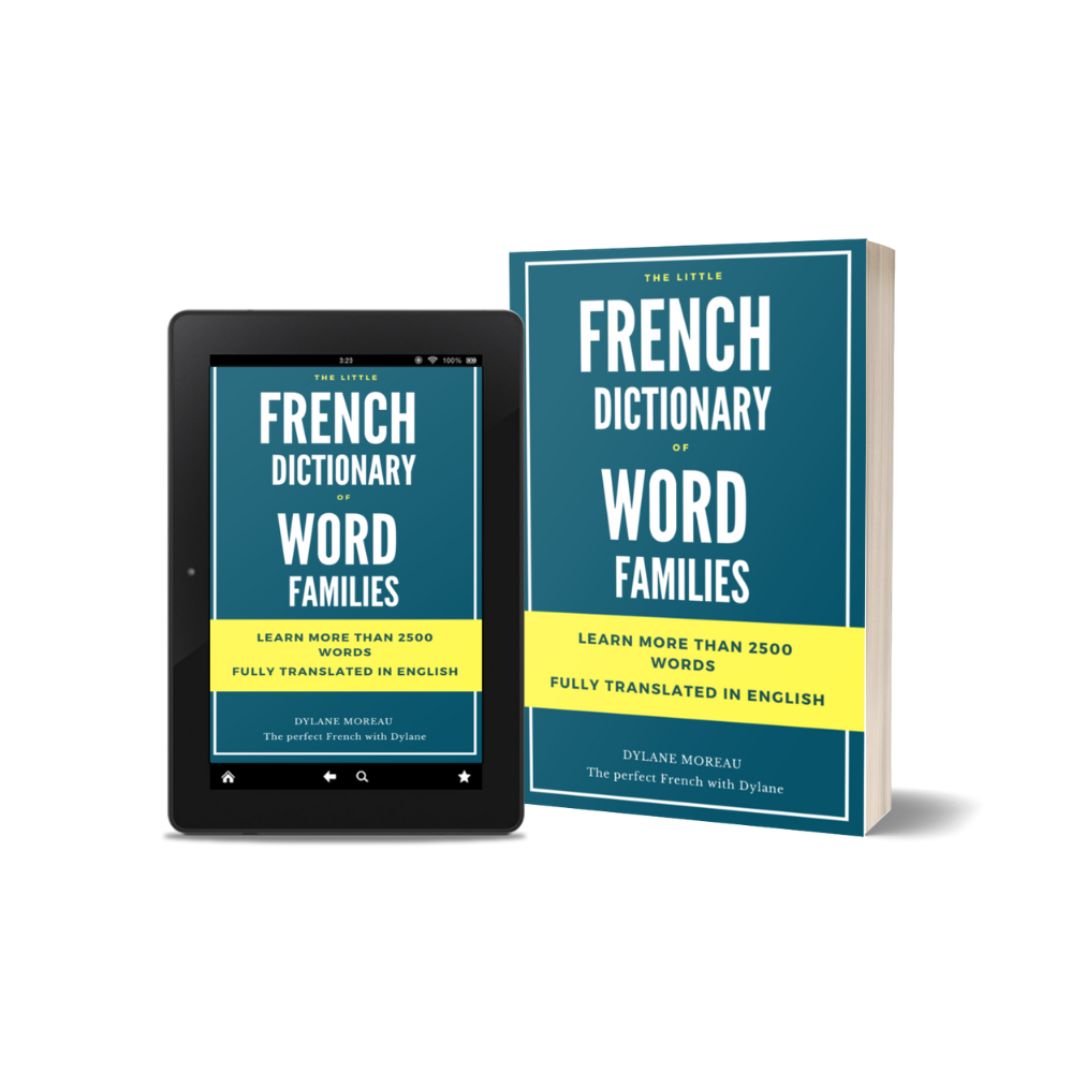 French dictionary vocabulary
