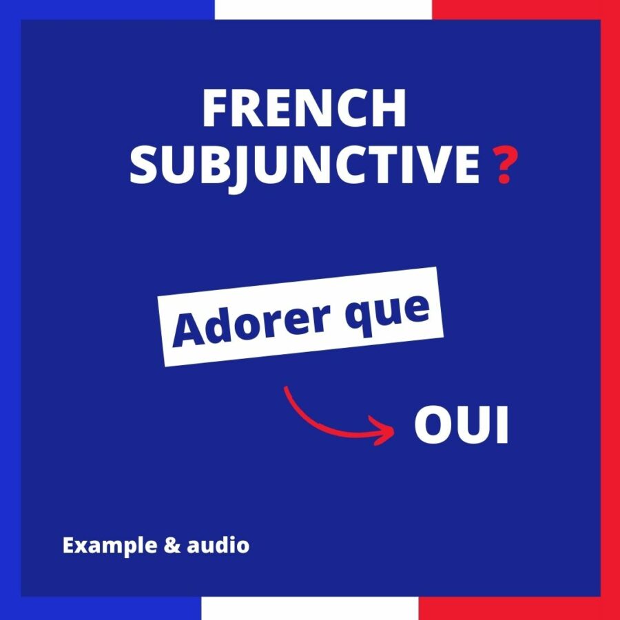 Adorer que French Subjunctive