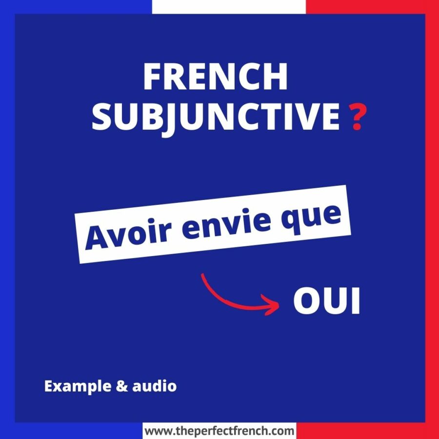 Avoir envie que French Subjunctive