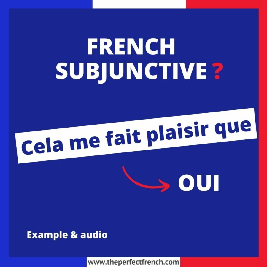 Cela me fait plaisir que French Subjunctive