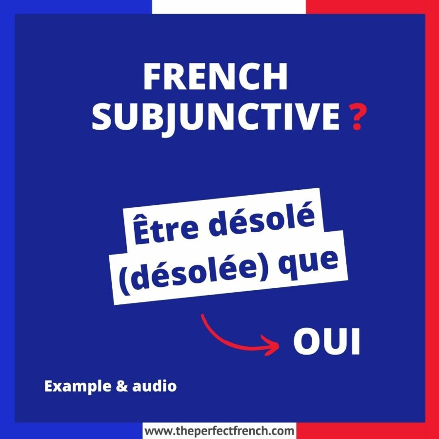 Être désolé (désolée) que French Subjunctive