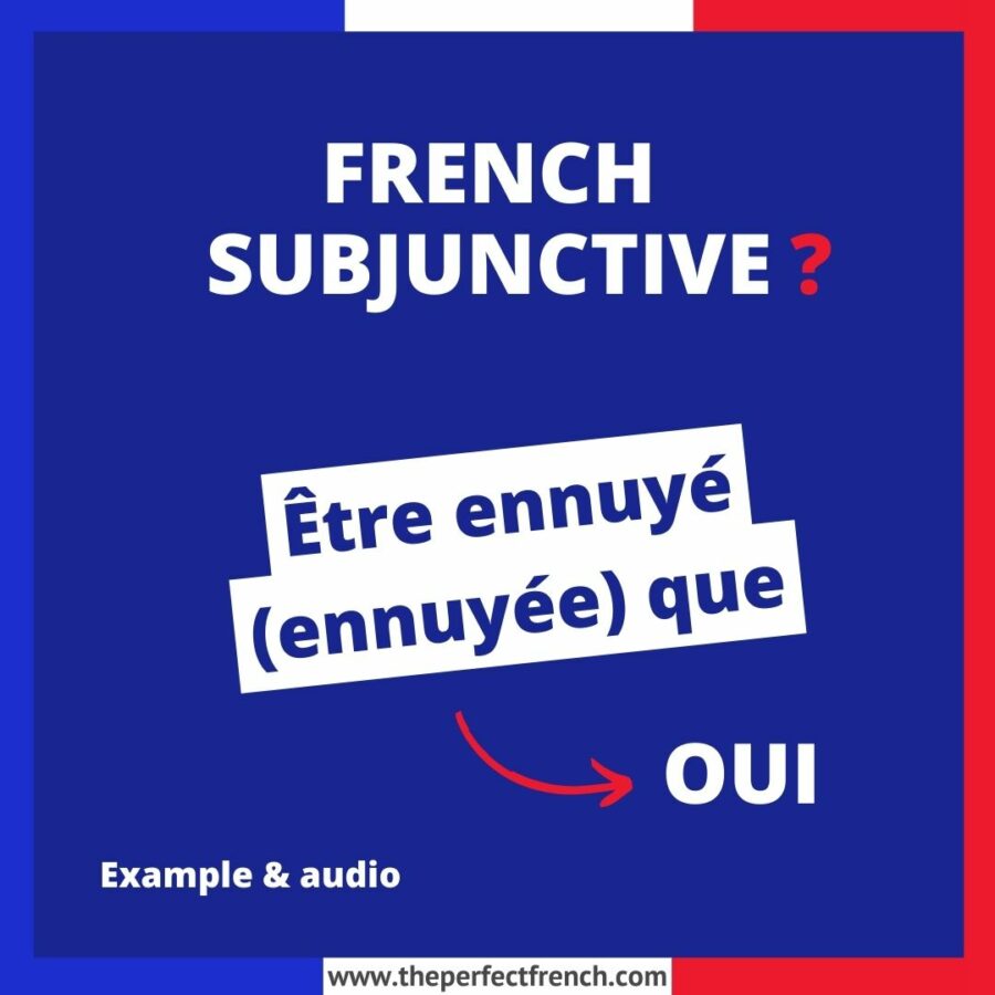 Être ennuyé (ennuyée) que French Subjunctive