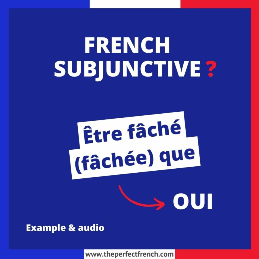 Être fâché (fâchée) que French Subjunctive