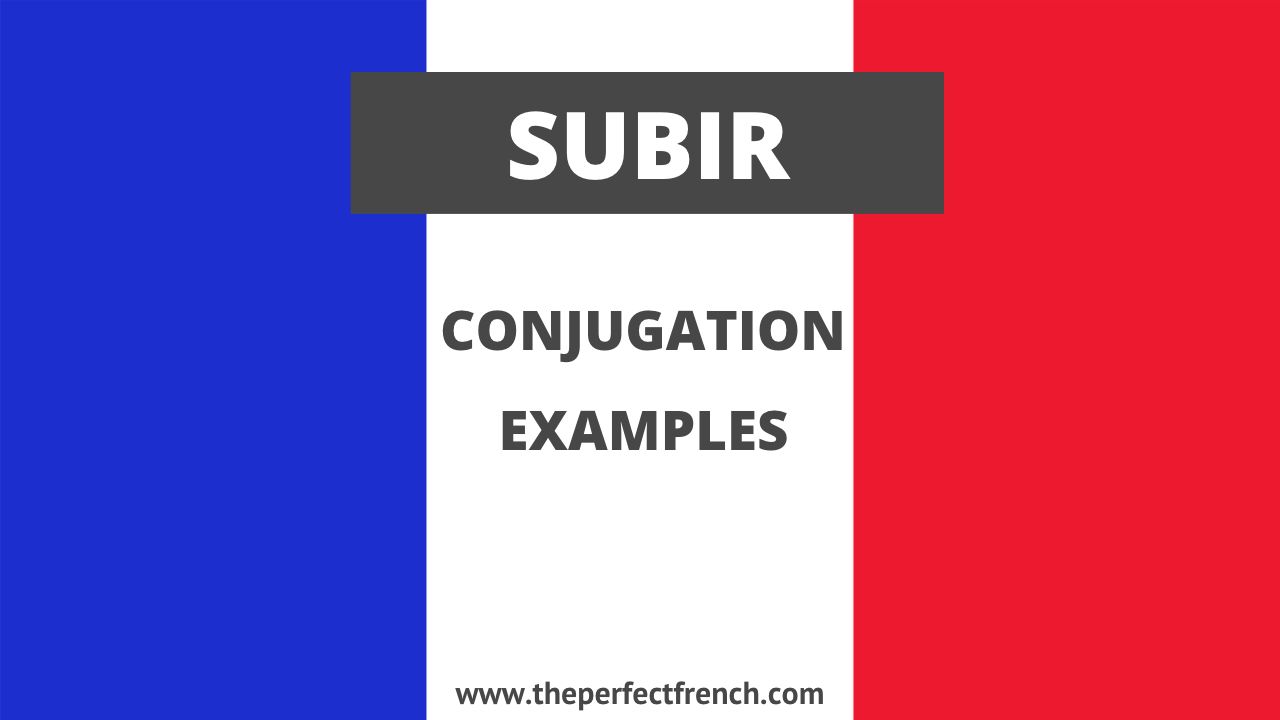 Conjugation of Subir