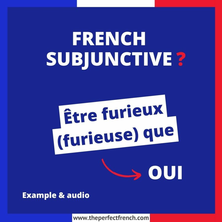 Être furieux (furieuse) que French Subjunctive