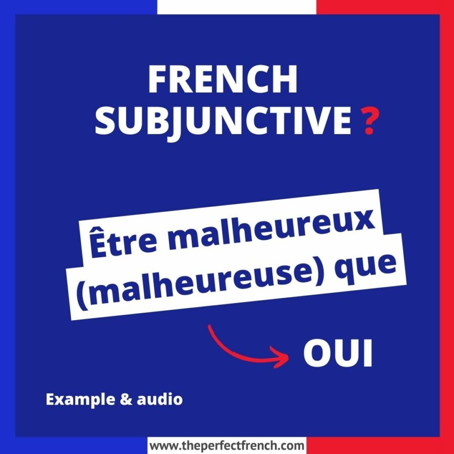 Être malheureux (malheureuse) que French Subjunctive