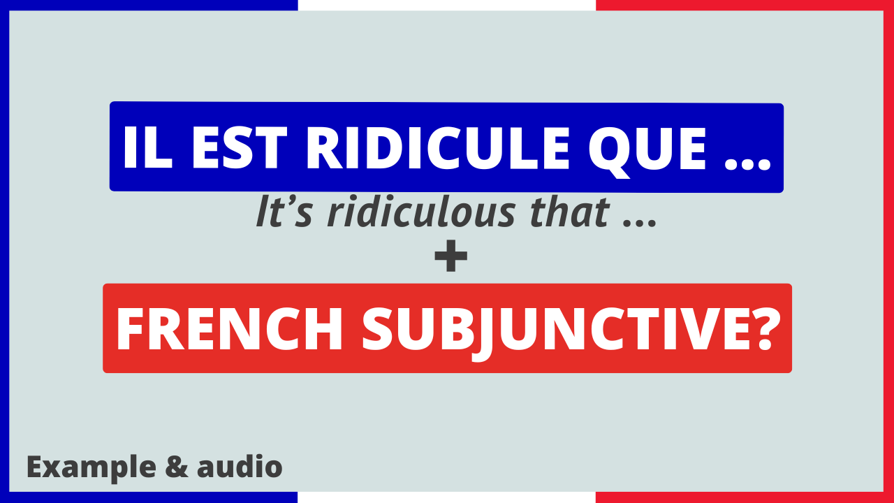 Completely Ridiculous In French