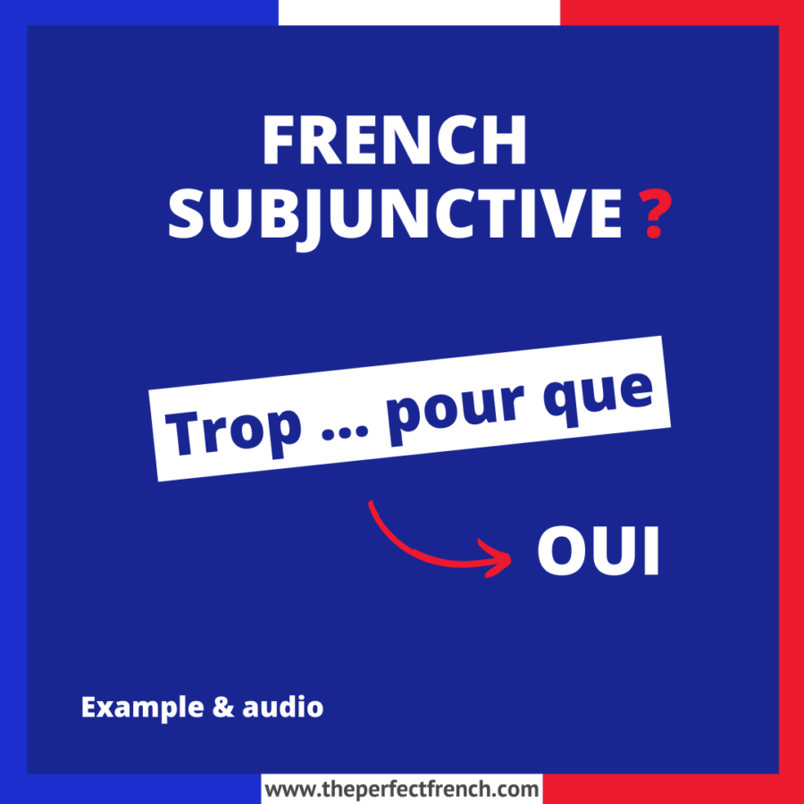 Trop ... pour que French Subjunctive