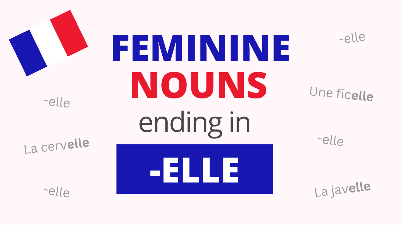 French Feminine Nouns Ending in ELLE
