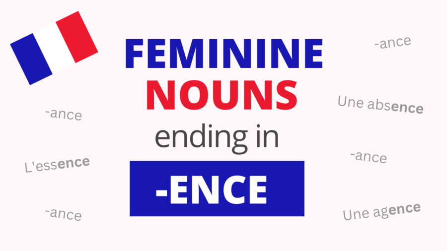 French Feminine Nouns Ending in ENCE