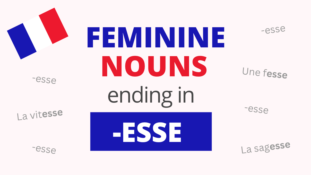 French Feminine Nouns Ending in ESSE - French Online Language Courses ...