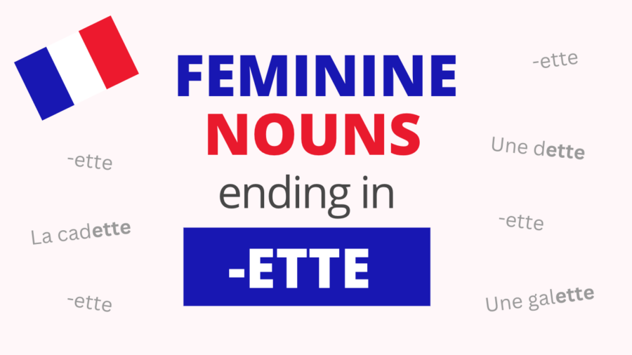French Feminine Nouns Ending in ETTE