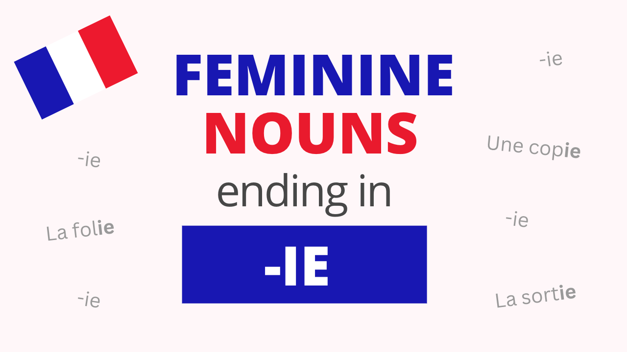 French Feminine Nouns Ending in IE