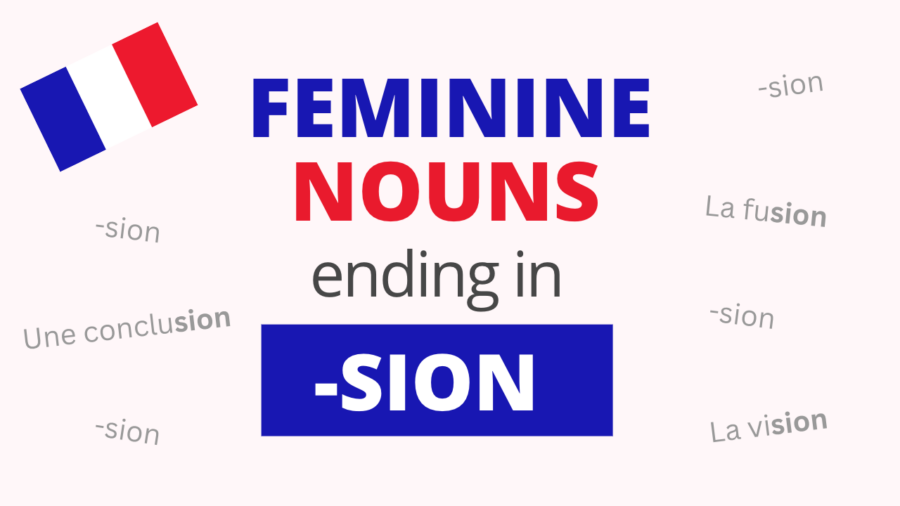 French Feminine Nouns Ending in SION