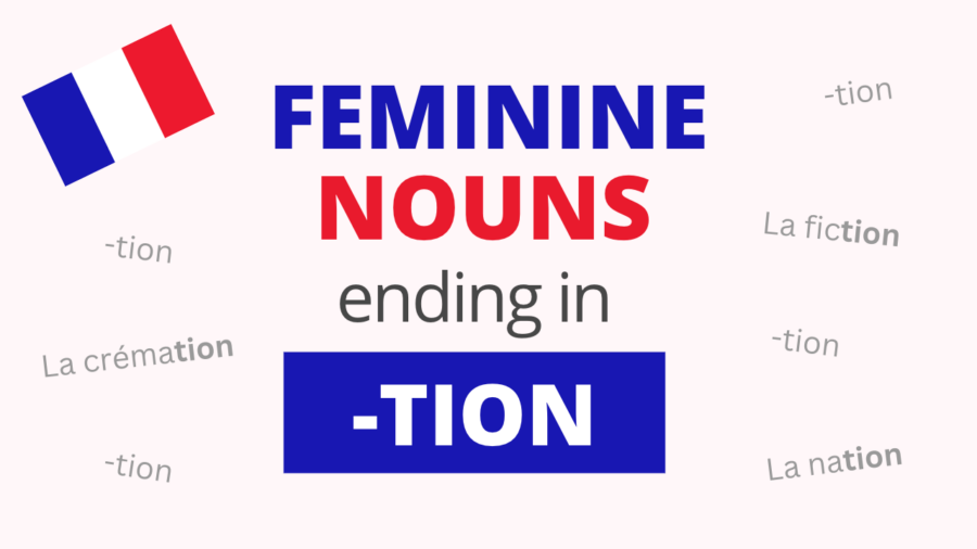 French Feminine Nouns Ending in TION