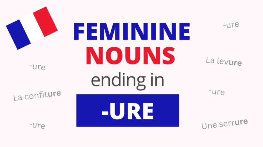 French Feminine Nouns Ending in URE
