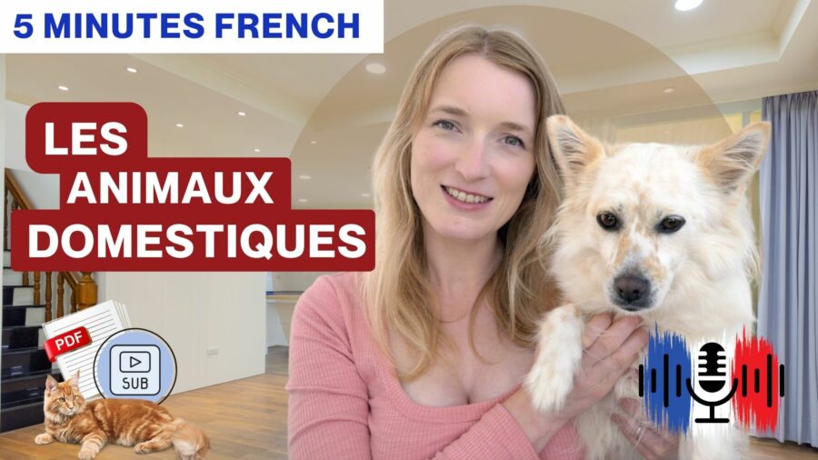 Slow-French-story-Les-animaux-domestiques