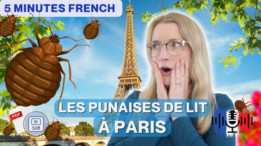 French Story: Les punaises de lit