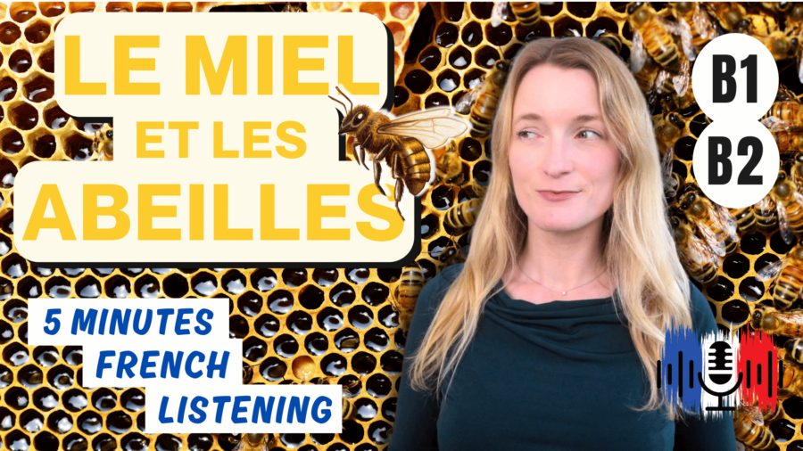 Le-miel-et-les-abeilles-Honey-and-bees-5-Minutes-Slow-French-for-B1-and-B2