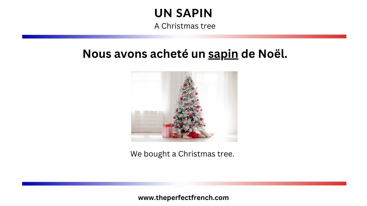 French Word of the Day - Un sapin (A Christmas Tree) - French Online ...