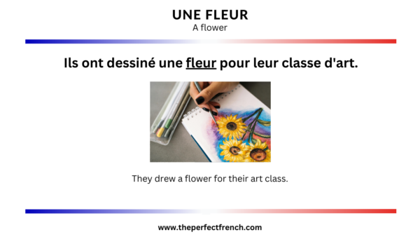 French Word of the Day - Une fleur (A Flower) - French Online Language