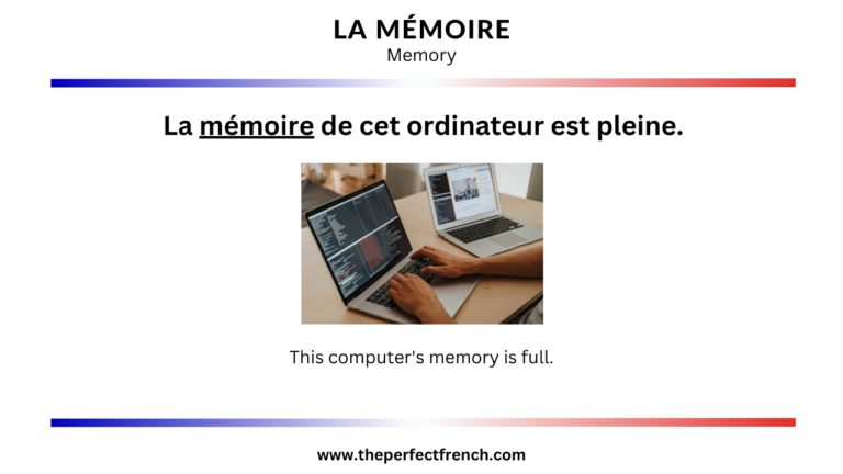 French Word of the Day - La mémoire (Memory) - French Online Language ...