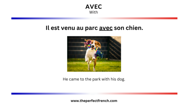 French Word of the Day - Avec (With) - French Online Language Courses ...