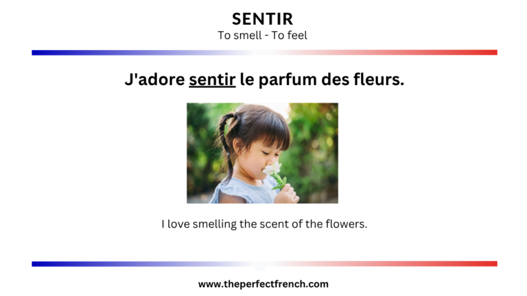 Sentir Practice French Word of the Day - Sentir - (To Smell/To Feel) - French Online ...