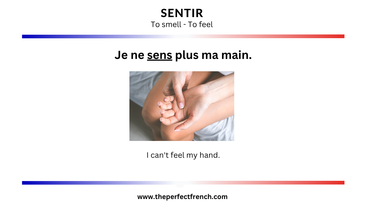 Sentir Practice French Word of the Day - Sentir - (To Smell/To Feel) - French Online ...