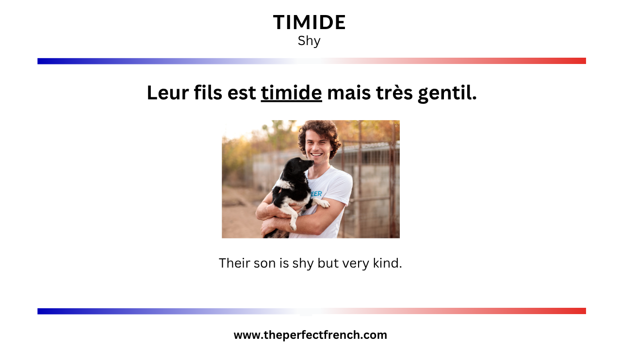 Timid Def French Word of the Day - Timide (Shy) - French Online Language Courses ...