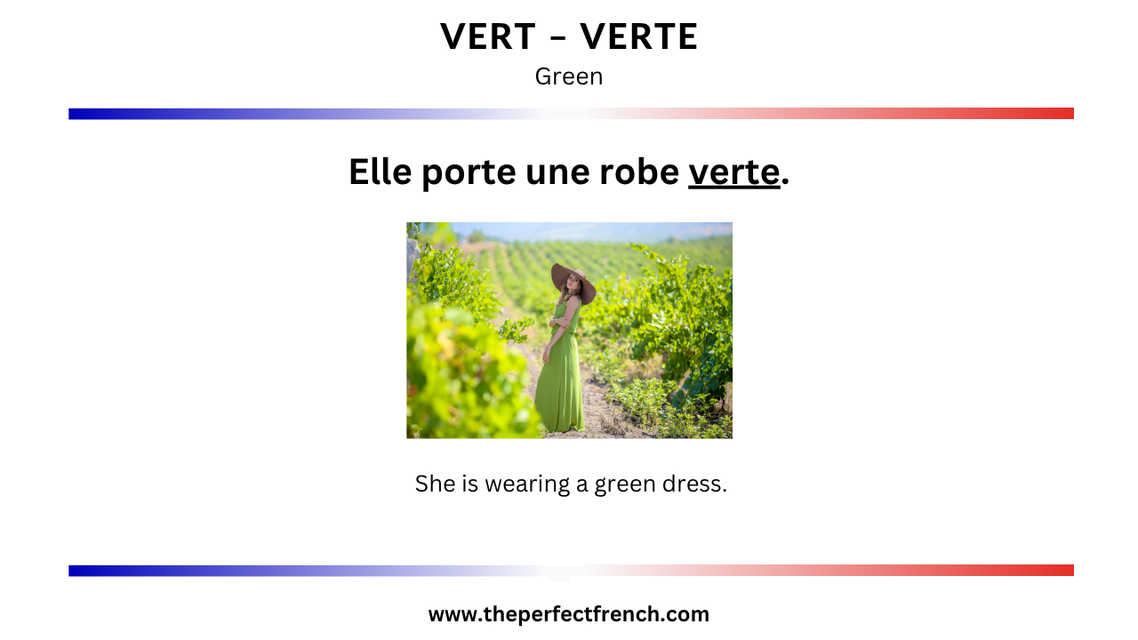 i want a green dress in french Word of the Day - Vert luxury evening dress 2025