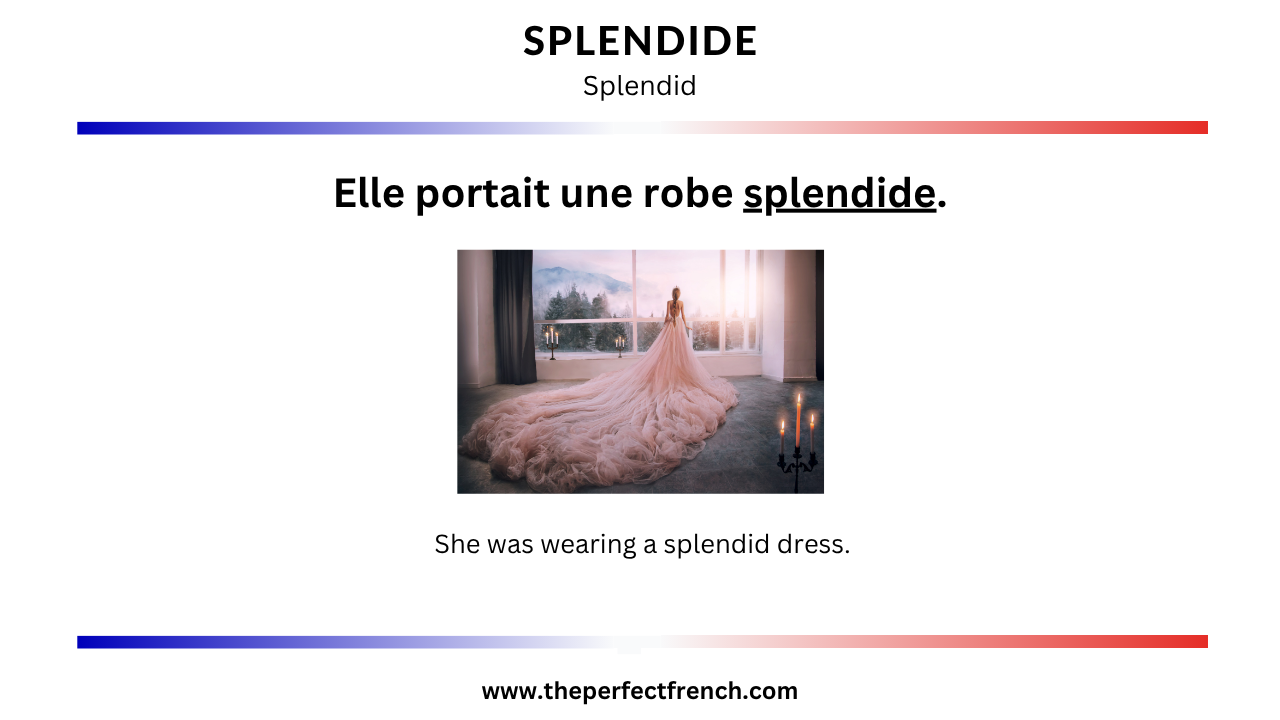 Sentence With Splendid French Word of the Day - Splendide (Splendid)