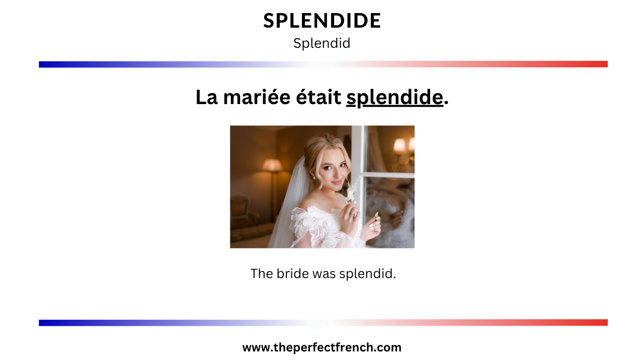 French Word of the Day - Splendide (Splendid)