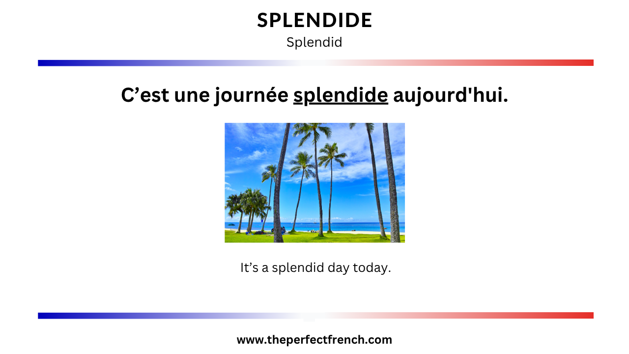 Sentence With Splendid French Word of the Day - Splendide (Splendid)